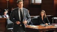 The Good Wife